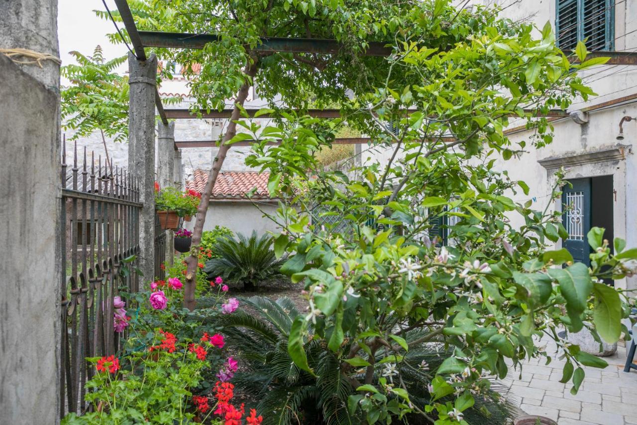 Apartment Apartment & Room Korta Vilea Dubrovnik