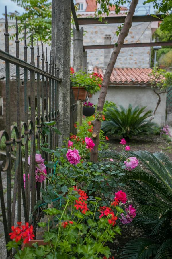 Apartment Apartment & Room Korta Vilea